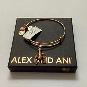 Alex and Ani Lobster Bangle